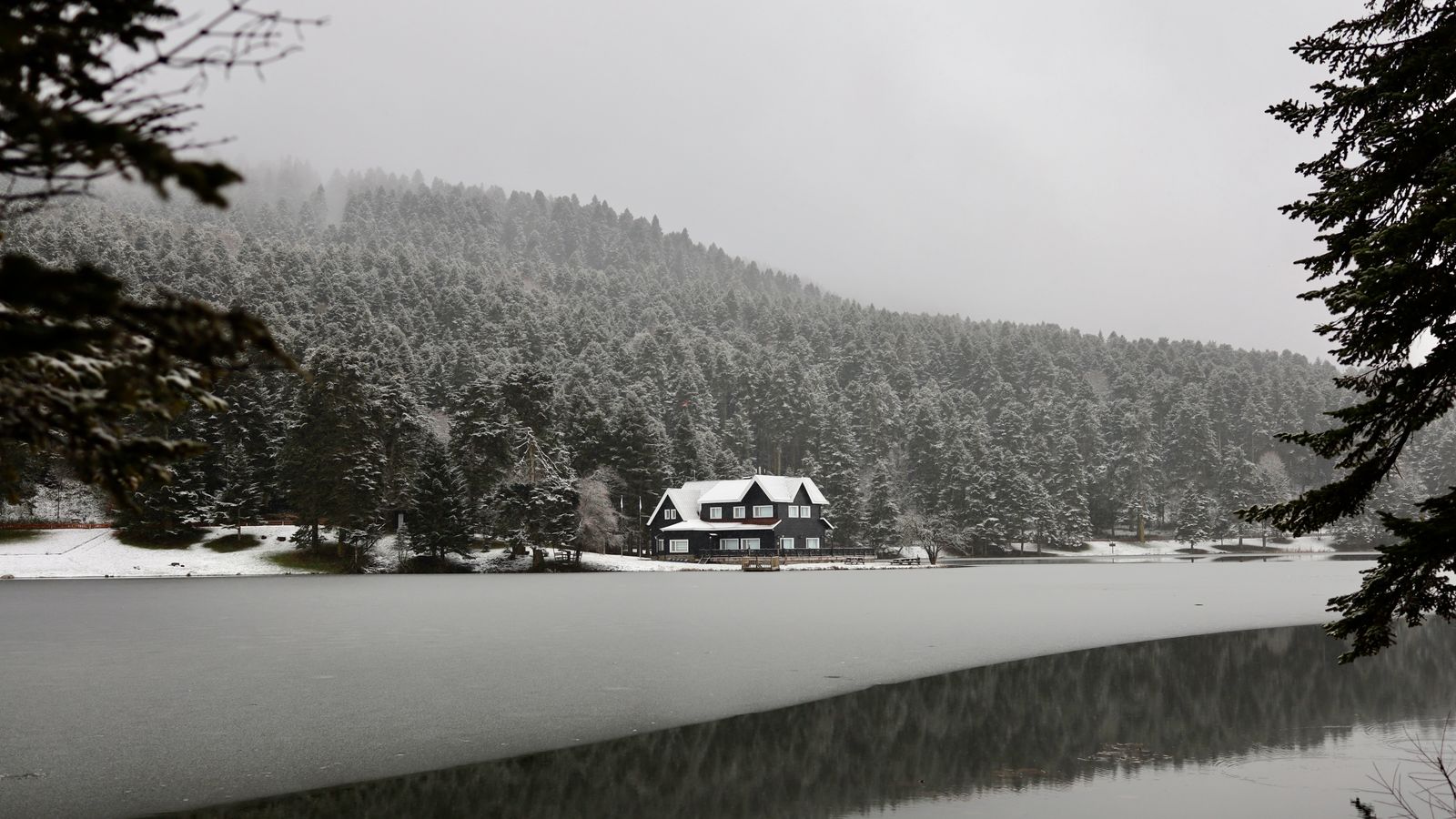 Bolu